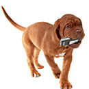 Как найти украденный телефон