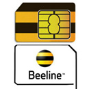 Ошибка регистрации Билайн