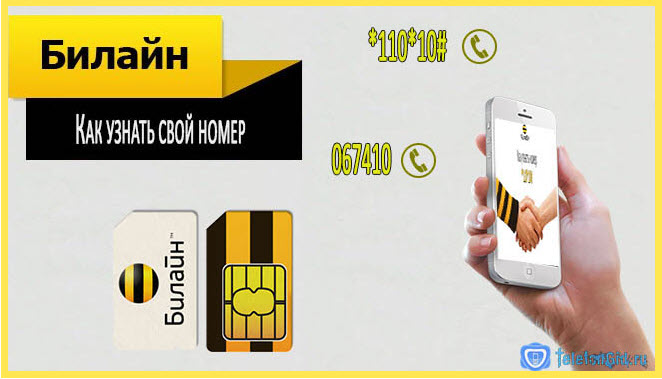 Как узнать свой номер на Билайне
