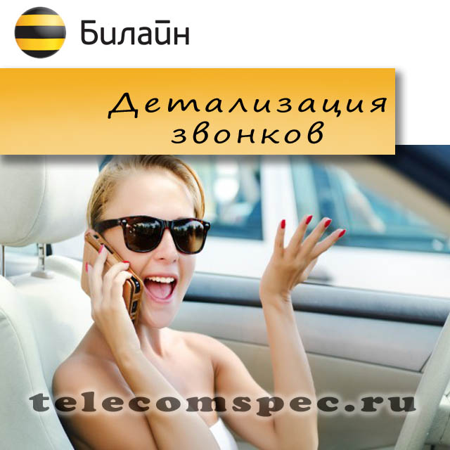 Детализация звонков Билайн: все способы получить услугу