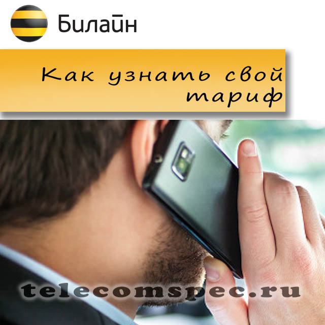Узнаем свой тарифный план Билайн несколькими способами
