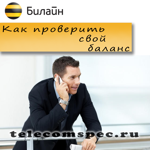 Как проверить свой баланс и баланс другого абонента Билайн