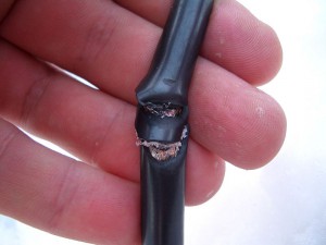 Что делать если не работает интернет от компании Ростелеком Что делать если не работает интернет от компании Ростелеком