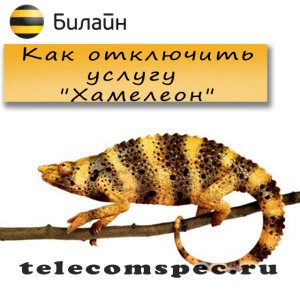 Услуга "Хамелеон" от Билайн: как подключить и отключить услугу