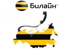Услуга "Городской номер" от Билайн: описание и стоимость