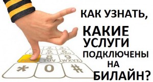 Как можно узнать какие услуги Билайн подключены у тебя