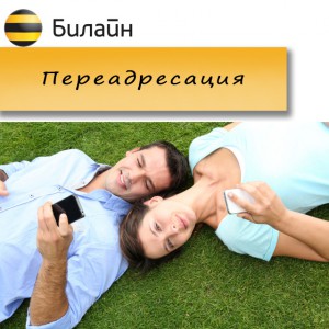 Переадресация от Билайн: как подключить и отключить услугу