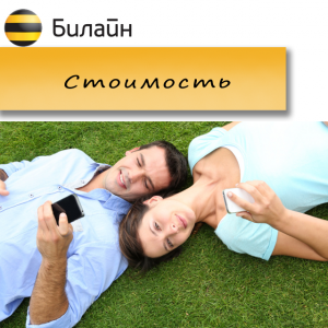 Переадресация от Билайн: как подключить и отключить услугу