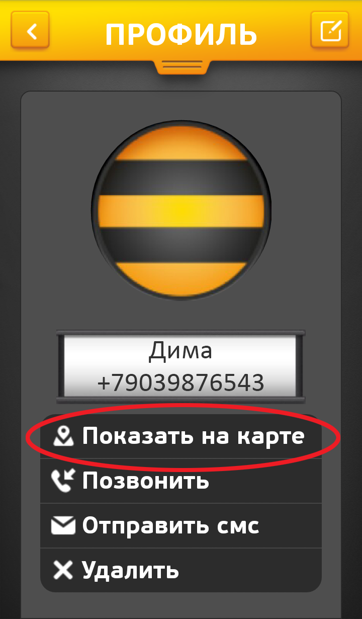 Как воспользоваться услугой "Локатор" от Билайн Как воспользоваться услугой "Локатор" от Билайн