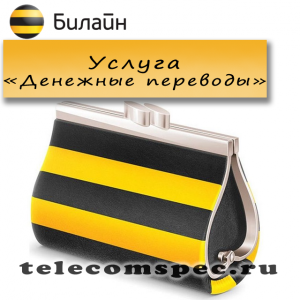 Услуга "Денежные переводы" от Билайн: описание и особенности услуги