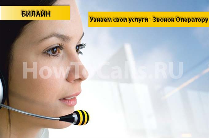 Как узнать какие услуги подключены на билайне и отключить их? Как узнать какие услуги подключены на билайне и отключить их?