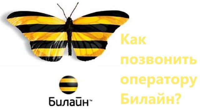 Как позвонить напрямую оператору билайн?