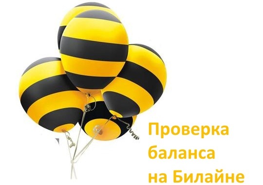 Как проверить свой баланс на Билайне и узнать остаток?