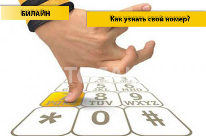 Узнаем свой номер на Билайне - 4 способа узнать номер
