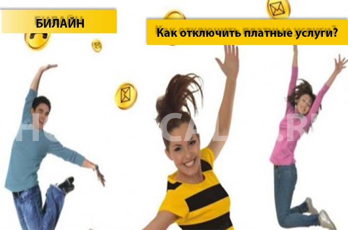 Как отключить платные услуги на Билайне - инструкция по отключению платных услуг на Билайне