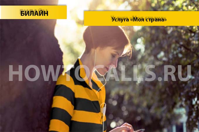 Услуга «Домашний регион» от Билайн - описание, подключение и отключение услуги Домашний Регион