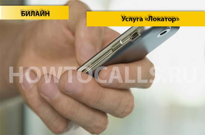 Услуга «Локатор» Билайн - описание, подключение и отключение услуги Локатор от Билайн