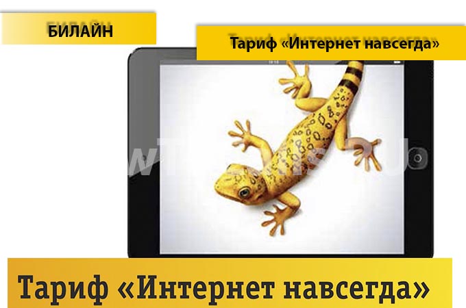 Тариф «Интернет навсегда» - описание, подключение и отключение тарифа «Интернет навсегда» от Билайн