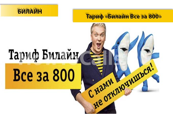 Тариф «Все за 800» от Билайн - описание тарифа, как подключить и как отключить тарифный план «Все за 800» от Билайн Тариф «Все за 800» от Билайн - описание тарифа, как подключить и как отключить тарифный план «Все за 800» от Билайн
