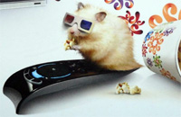 Пакет каналов Amedia Premium от Ростелекома и его подключение