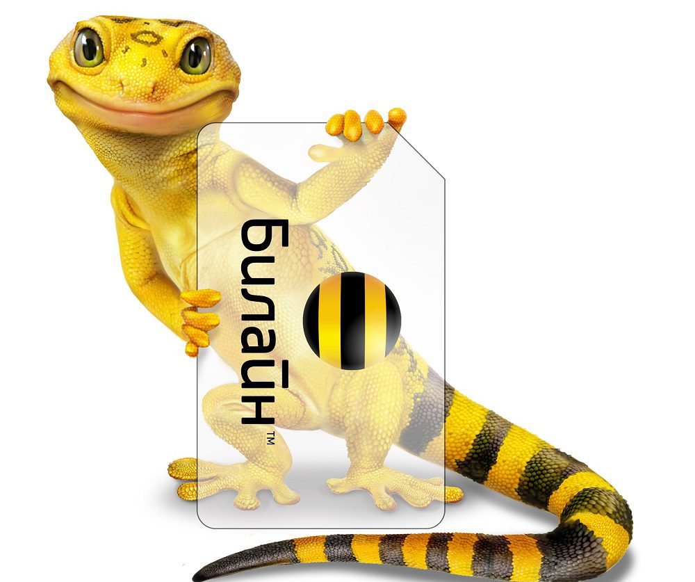 Что лучше мегафон или билайн: описание плюсов и минусов Что лучше мегафон или билайн: описание плюсов и минусов