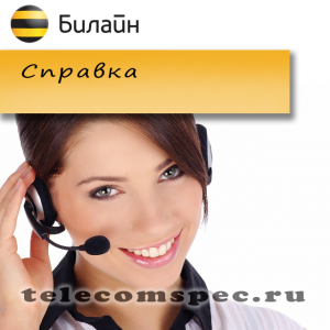 Как позвонить оператору Билайн: номер телефона поддержки Как позвонить оператору Билайн: номер телефона поддержки