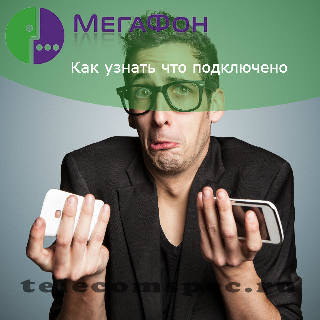 Как узнать что подключено на Мегафоне: информация о тарифе