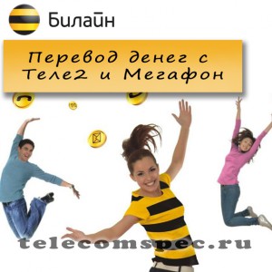 Как перевести деньги с Теле2 на Билайн