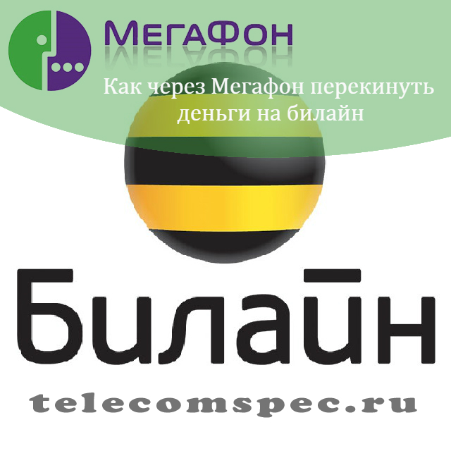 Как перевести деньги с Мегафона на билайн: как пополнить счёт
