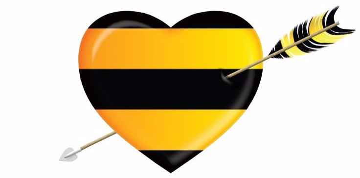 Тариф «Все. Классик» от Билайн: описание, как подключить и отключить услугу Тариф «Все. Классик» от Билайн: описание, как подключить и отключить услугу