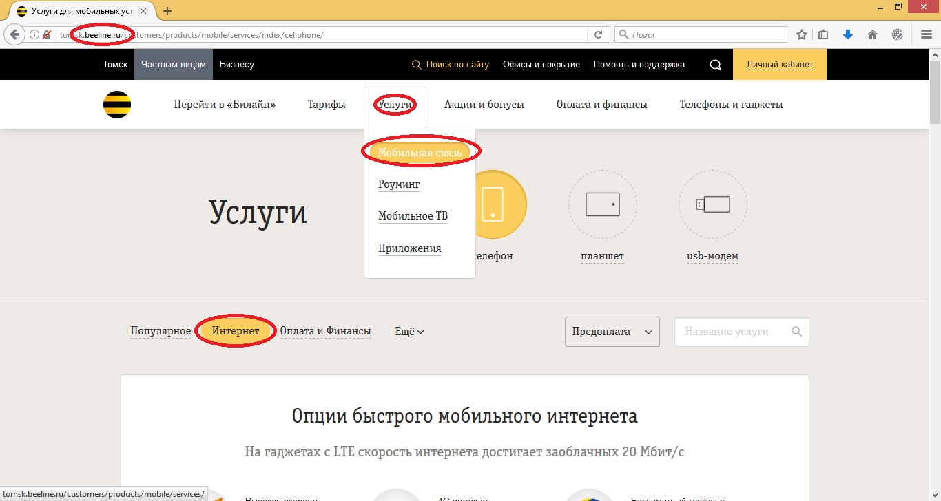 Как отключить интернет на Билайне: отключить мобильный интернет Как отключить интернет на Билайне: отключить мобильный интернет