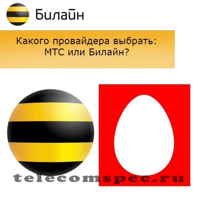 Что лучше МТС или Билайн: выбор лучшего оператора