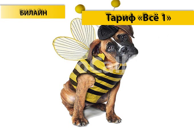 Тариф «Всё 1» от Билайн - описание тарифа, как подключить и как отключить тариф Всё 1 от Билайн