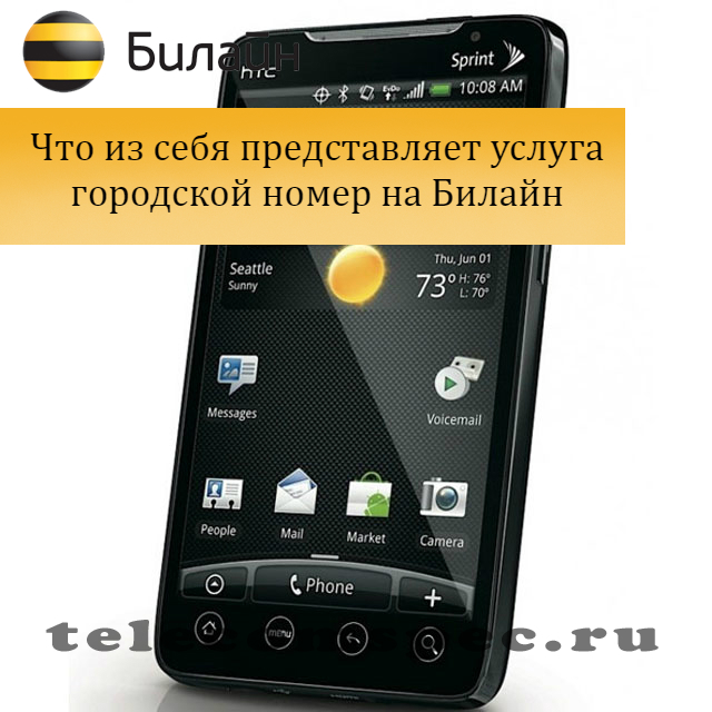 Городской номер Билайн: как определить, описание