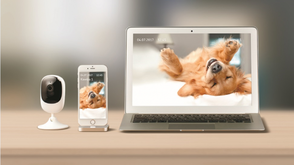 Умный дом от Ростелекома Умный дом от Ростелекома