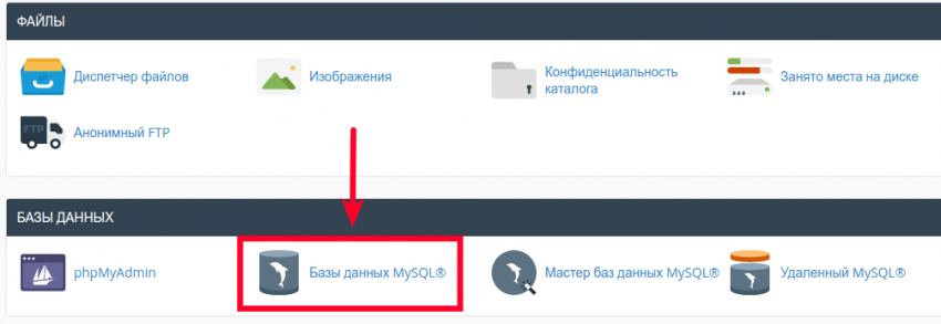 Начало работы с Виртуальным хостингом и cPanel | FORNEX