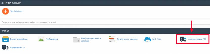 Начало работы с Виртуальным хостингом и cPanel | FORNEX