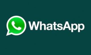 Как установить и пользоваться Вацапом?